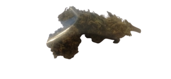 1 grammo ICEBERRY con scatolina - immagine 2